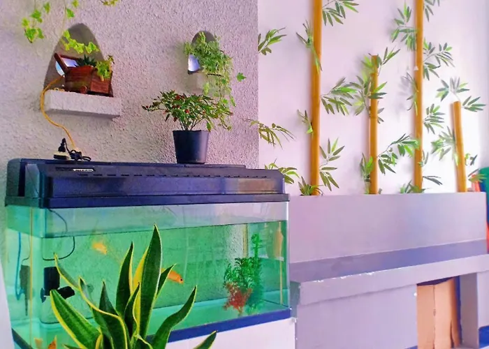 Hoang Nga 1 Hotel *