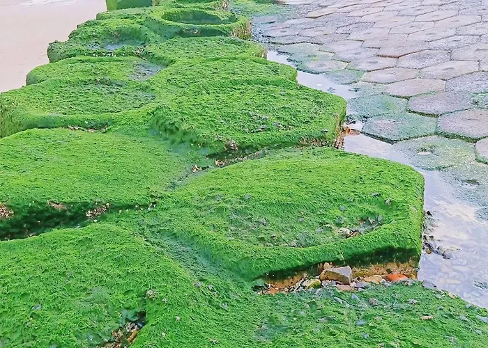 Khách sạn Hoàng Nga 1